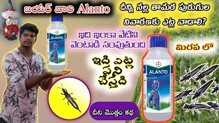 Bayer Alanto Insecticide Telugu  అలాంటో కీటక నివారని పూర్తి వివరాలు తెలుగు లో  Thiaclopride 240 sc [upl. by Asseralc]