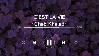 1 hour CHEB KHALED  CEST LA VIE [upl. by Sandie594]