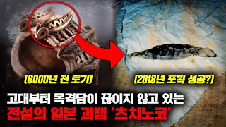 수천년동안 일본에서 목격되었다고 전해지는 미확인 생명체 츠치노코의 실존 증거들 미스터리 [upl. by Greta]