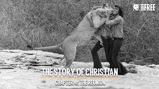 The Story of Christian  Ep 4 The Reunion [upl. by Godric]