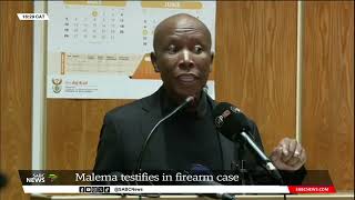 Malema testifies in firearm case [upl. by Anoi]