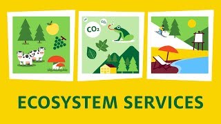 What are ecosystem services [upl. by Sackman]