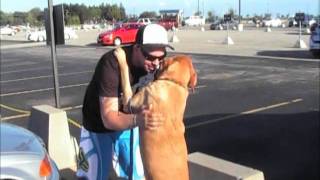 Soldier reunites with dog at airport [upl. by Beaumont664]