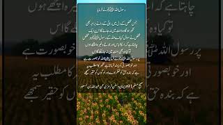 Islamic text NABIka ferman totkay Hadees Mubarak islamicknowledge goldenwordsinfo islamichadees [upl. by Anderea785]