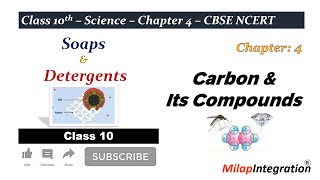 Soaps amp Detergents  Chapter 4  Class 10  Science  CBSE NCERT  Milap Integration [upl. by Bohannon110]