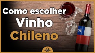 VINHOS CHILENOS Principais Uvas Regiões e Dicas de Compra [upl. by Kaylee]