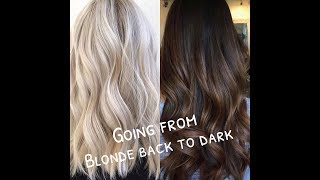 Advice on dying your hair from Blonde back to Dark Part 1 [upl. by Theodor]