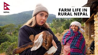 72 hours Farmers Life in Rural Nepal 🇳🇵 [upl. by Arlyne]