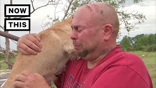 A Family Reunites With Their Dog After A Horrific Tornado  NowThis [upl. by Ardnohs593]