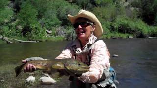 Fly Fishing for Big Browns in Utah Rivers—Utah Fly Guides [upl. by Trebled]