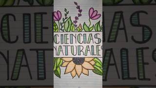 Ideias de capas de caderno de Ciências de 9ano criatividade música [upl. by Notsla30]