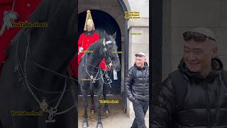 quotA Pickpocket Horse Stole the Water Bottle from a Tourists Rucksack” Short [upl. by Yeta]