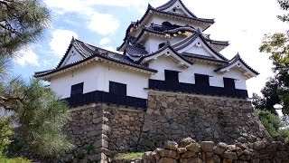 TOP 5 Most Beautiful Castles in Japan [upl. by Seve]