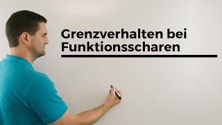 Grenzverhalten bei Funktionsscharen Parameterfunktionen Fallunterscheidung  Mathe by Daniel Jung [upl. by Kennard]