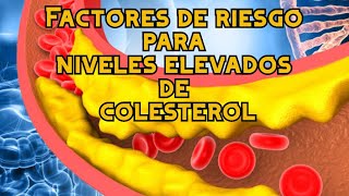 Factores de riesgo para niveles elevados de colesterol [upl. by Sinai502]