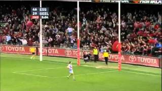 AFL 2011 Round 15 Highlights Essendon V Geelong [upl. by Heman]