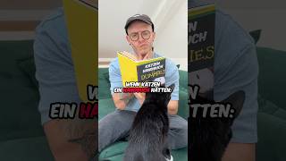 Katzenhandbuch Teil 1 katze comey vlog [upl. by Sherie38]