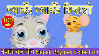 Meow Meow Biralo  Nepali Rhymes Collection  लोक प्रिय नेपाली बाल गीत [upl. by Najram92]