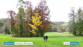 À la découverte de larboretum de Payssas à Lasseube en Béarn [upl. by Neffirg981]