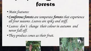 difference between coniferous and deciduous forests [upl. by Yatnuhs388]