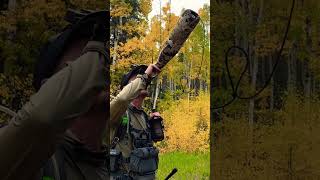 Bugling in the aspens huntingmountainselkwapiti [upl. by Tepper]