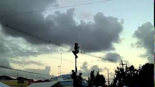 Greasy Pole Competition  Oistins Fish Festival [upl. by Ahsilac625]