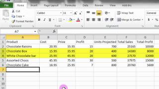 Microsoft Excel Tutorial A Basic Introduction [upl. by Adnawed]