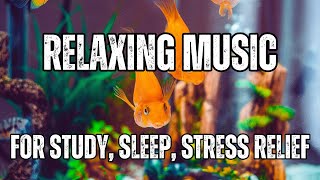 Relaxing music for Stress relief  Fish therapyAqua yoga 4hr Calm Music  Lofi aquatherapy mind [upl. by Costello]