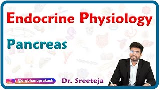 Physiology of Endocrine Pancreas  USMLE Step 1 [upl. by Yeslehc240]