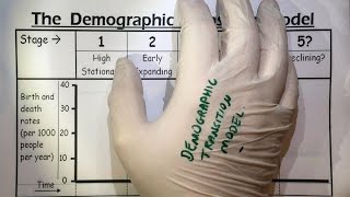 Demographic Transition Model overview  AQA GCSE Geography  3221 [upl. by Amuwkuhc]