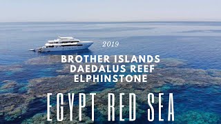 Travel ∙ Ägypten Rotes Meer ∙ Tauchsafari Brother Islands Daedalus Riff Elphinstone Riff ∙ 2019 [upl. by Olegnaed]