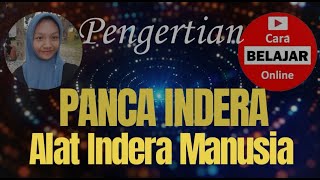 Fungsi Panca InderaAlat Indera Manusia [upl. by Katinka]