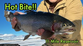 Eleven Mile Reservoir  NONSTOP Action Ice Fishing on Early Ice [upl. by Elman362]