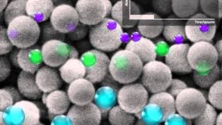 Size Exclusion Chromatography SEC [upl. by Hunley87]