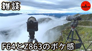 【雑談】FロクヨンとZハチロクサンのボケ感の違い  AFS 600mm f4E FL ED VR × Z 800mm f63 VR S [upl. by Adnolay]