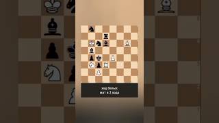 Шахматная задача 185 Chess Problem 185 [upl. by Hans]