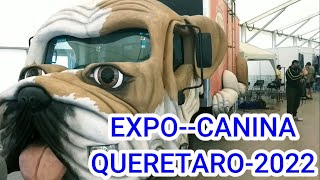 EXPO CANINA QUÉRETARO 2022 MÉXICO ASI SE VIVIO [upl. by Allene362]