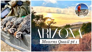 Arizona Mearns QuailTheyre GONE Part 1 [upl. by Netti168]