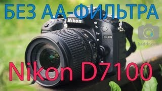 Nikon D7100  Обзор Фотоаппарата Топовая Кропнутая Зеркалка  Kaddrcom [upl. by Taran]