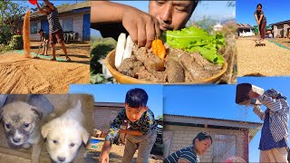 Rice winnowing and drying  eating own grown perilla seeds with smoked meat  kents vlog [upl. by Dwane]