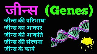 जीन  जीन्स की स्थिति आकार संरचना और कार्य  Status Structure and function of Genes  hindi [upl. by Raquel]