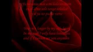 Luz Casal  Historia De Un Amor Lyrics with translation [upl. by Aikel]