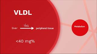 Lipoprotein • VLDL metabolism  Biochemistry [upl. by Berenice]