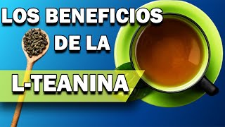 BENEFICIOS DE LA LTEANINA  NUTRICION ORTOMOLECULAR  CAP 067 [upl. by Thekla]