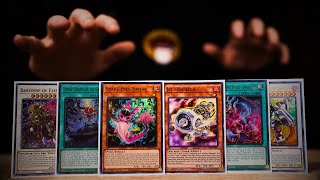 Pure SnakeEye Is CRAZY Deck Profile amp Combos Post PHNI  YuGiOh 2024 [upl. by Adimra202]