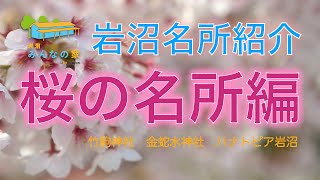 【岩沼紹介】桜の名所編 （竹駒神社 金蛇水神社 ハナトピア岩沼）2022年4月 [upl. by Rammus]