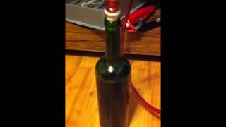 Ferrari Automatic Wine Bottle Filler [upl. by Charleton428]