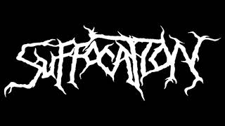 Suffocation  Live in Rheine 2016 Full Concert [upl. by Fionnula]