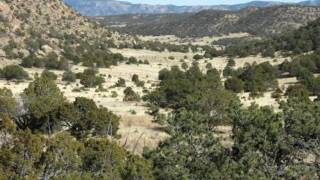 Sawtooth Shadows Ranch  New Mexico Investment Property For Sale [upl. by Eissed]