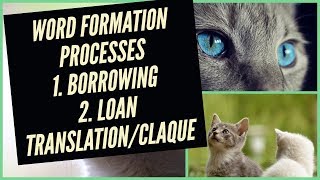 What is Borrowing  Loan Translation  Calque  Word Formation Processes  UrduHindi [upl. by Brigham]